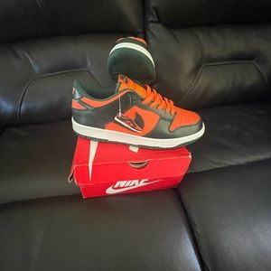 Nike Miami hurricane dunks